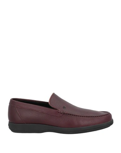 A.testoni A. Testoni Man Loafers Burgundy Size 10 Calfskin In Red