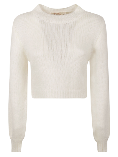 Marni Round-neck Cropped Jumper In Lily White