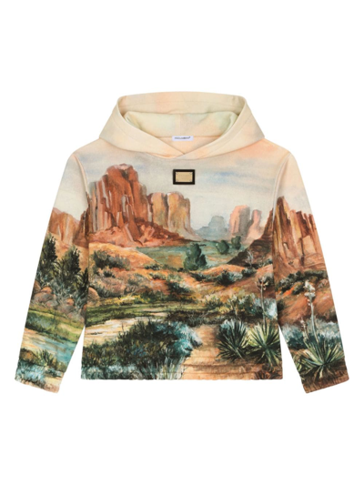 Dolce & Gabbana Kids' Hoodie With Canyon Print And Logo Tag In Brown