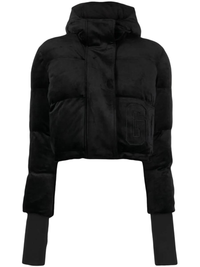 Gcds Hooded Velvet Bomber Jacket In Black