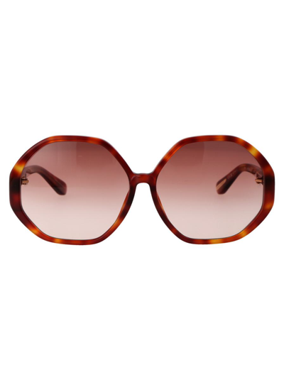 Linda Farrow Paloma Sunglasses In 03 Amber Amber T-shell Optical