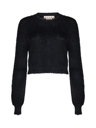 Marni Sweater In Black