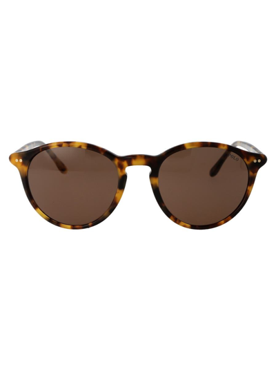 Polo Ralph Lauren 0ph4193 Sunglasses In 535273 Shiny Spotty Havana