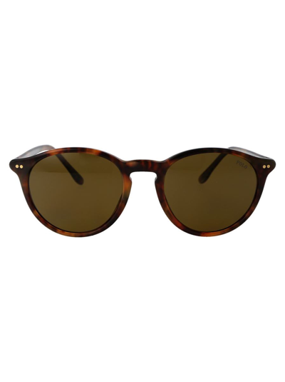 Polo Ralph Lauren 0ph4193 Sunglasses In 501773 Shiny Beige Tortoise