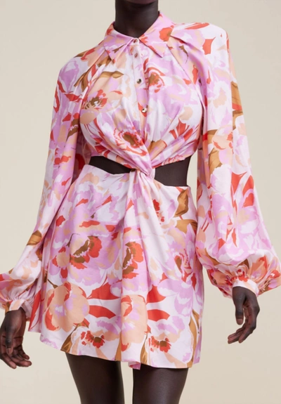 Acler Woodward Mini Dress In Peony Harvest In Pink