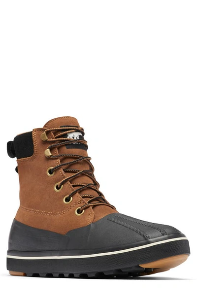 Sorel Cheyanne Metro Ii Boots In Velvet Tan, Black