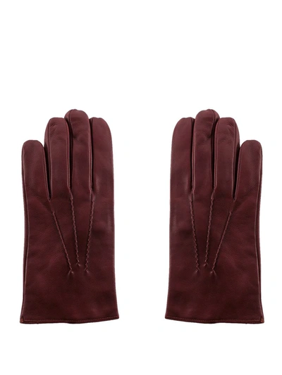 Orciani Gloves In Bordeaux