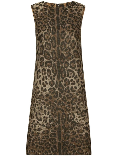 Dolce & Gabbana Leopard Jacquard Midi Dress In Brown