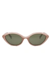 Celine Bold Three-dot Acetate Square Sunglasses In Blonde Havana