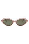 Celine Bold Three-dot Acetate Square Sunglasses In Pink/green