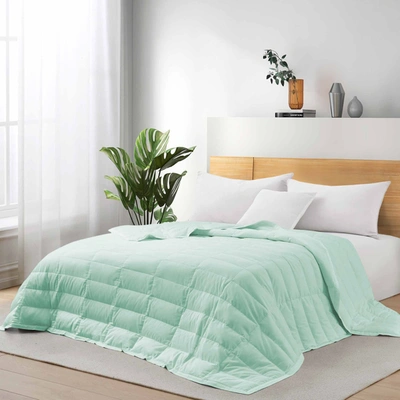 Puredown Tencel Lyocell Lightweight Cooling Down Bed Blanket Comforter, King Or Queen Size Quilt