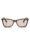 Swarovski Polarized 55mm Rectangle Sunglasses In Dk Havana