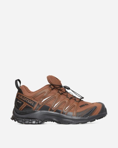 And Wander Salomon Xa Pro 3d Gore-tex Trainers Brown In Multicolor