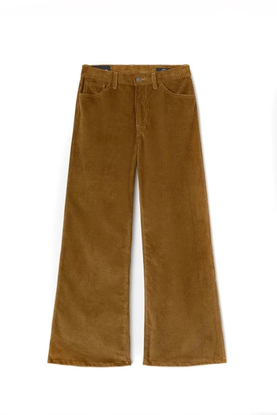 Dondup Jeans In Beige