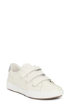 JOSEF SEIBEL JOSEF SEIBEL CLAIRE 12 SNEAKER