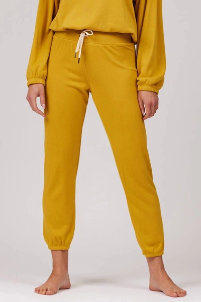 Lamade Classic Slim Jogger In Golden Rod In Yellow
