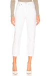 Agolde 90s Crop Mid Rise Loose Straight Jean In Element In Multi