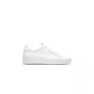 Android Homme Zuma White Caiman Croc Trainer