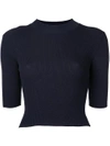 DION LEE PINACLE RIB CROPPED T,A7145P17INK12085098