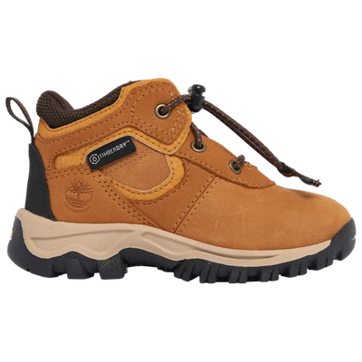 Timberland Kids' Boys  Mt. Maddsen Mid In Black/wheat