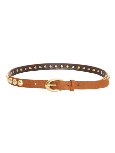 Orciani Studded Belt In Brown
