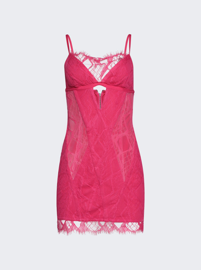 Dion Lee Oblique Lace Corset Dress In Candy Pink