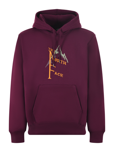 The North Face Sweatshirt In Purple