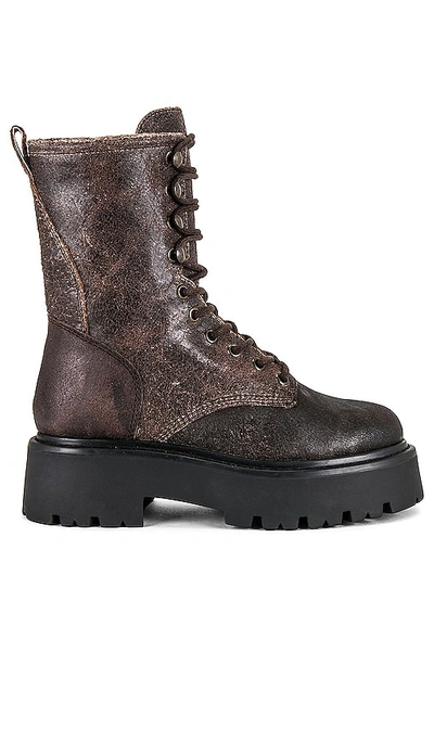 Steve Madden Boots Im Military-look Rowen In Chocolate