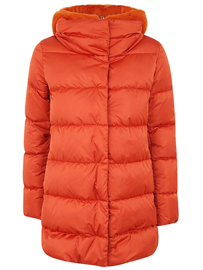 Herno A-shape Satin And Lady Faux-fur Down Jacket In Yellow & Orange