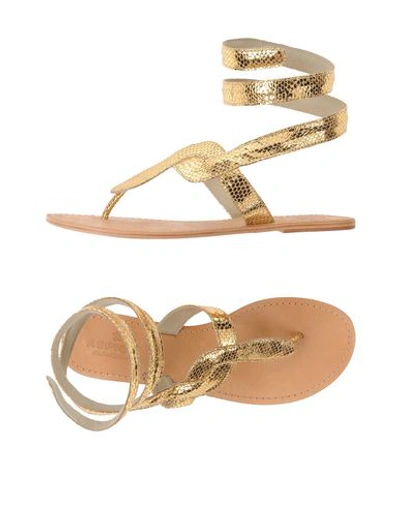 Aspiga Woman Toe Strap Sandals Gold Size 6 Soft Leather