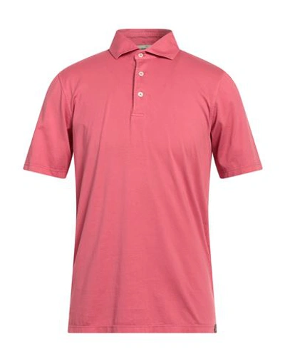 Gran Sasso Man Polo Shirt Magenta Size 40 Cotton