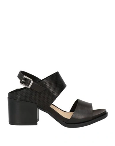 Lorenzo Mari Woman Sandals Black Size 7 Soft Leather