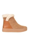 See By Chloé Woman Ankle Boots Camel Size 8 Calfskin, Lambskin, Cow Leather In Beige