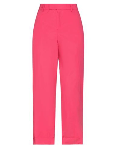 Twinset Woman Pants Fuchsia Size 14 Cotton, Elastane In Pink