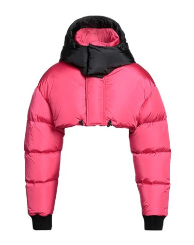 Dsquared2 Man Down Jacket Fuchsia Size 34 Polyamide In Pink