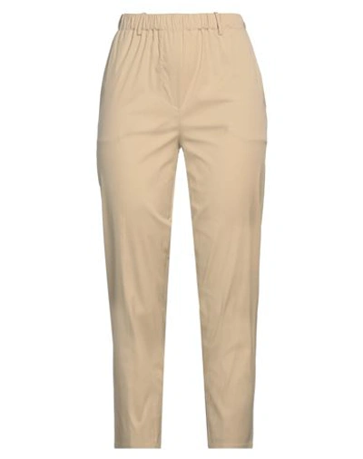 Antonelli Woman Pants Beige Size 2 Cotton, Polyamide, Elastane