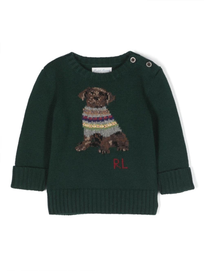 Ralph Lauren Babies' Intarsia-knit Cotton Jumper In Green