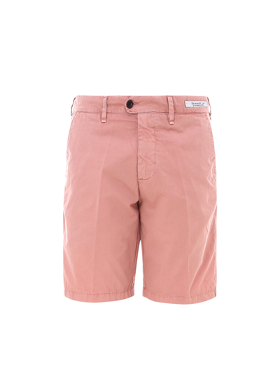 Perfection Gdm Bermuda Shorts In Pink