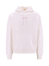 MARNI COTTON SWEATSHIRT WITH FRONTAL PRINT