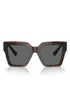 Versace 55mm Butterfly Sunglasses In Havana