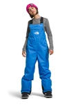 The North Face Kids' Freedom Waterproof Insulated Recycled Polyester Snow Bib In Optic Blue