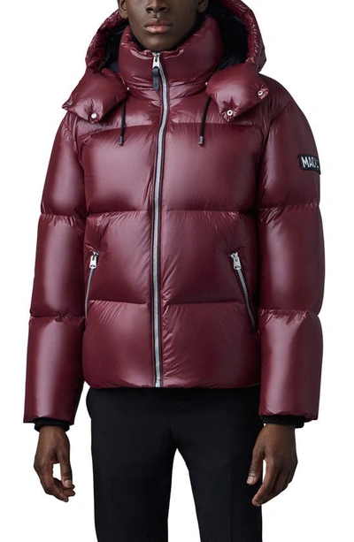 Mackage Kent Water Repellent Down Puffer Jacket In Garnet