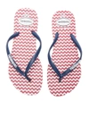 HAVAIANAS SLIM RETRO SANDAL,4132601