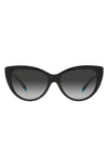 Tiffany & Co 56mm Gradient Cat Eye Sunglasses In Black