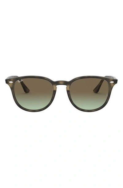 Ray Ban Ray In Green Havana