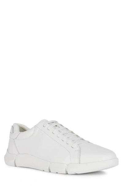 Geox Adacter Leather Sneakers In White