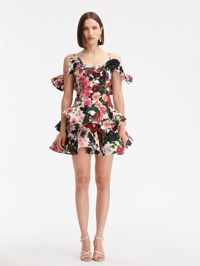 Oscar De La Renta Ruffled Hollyhocks Cotton-poplin Mini Dress In Floral