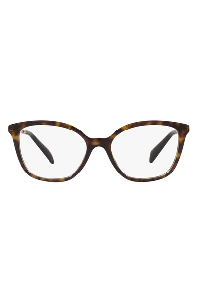 Prada 56mm Butterfly Optical Glasses In Tortoise