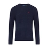Polo Ralph Lauren Sweater With Embroidery In Hunter_navy