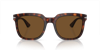 Persol Square Frame Sunglasses In Brown Polar
